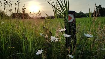 camping tamaring achterhoek13