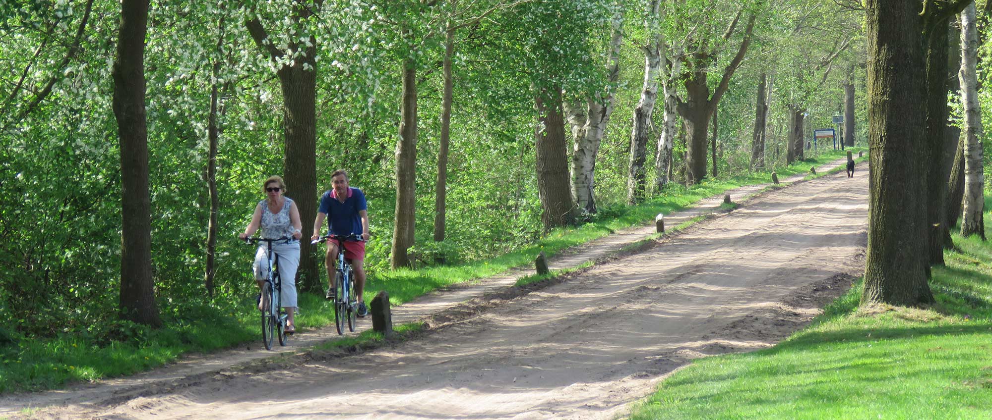 achterhoek fietsen